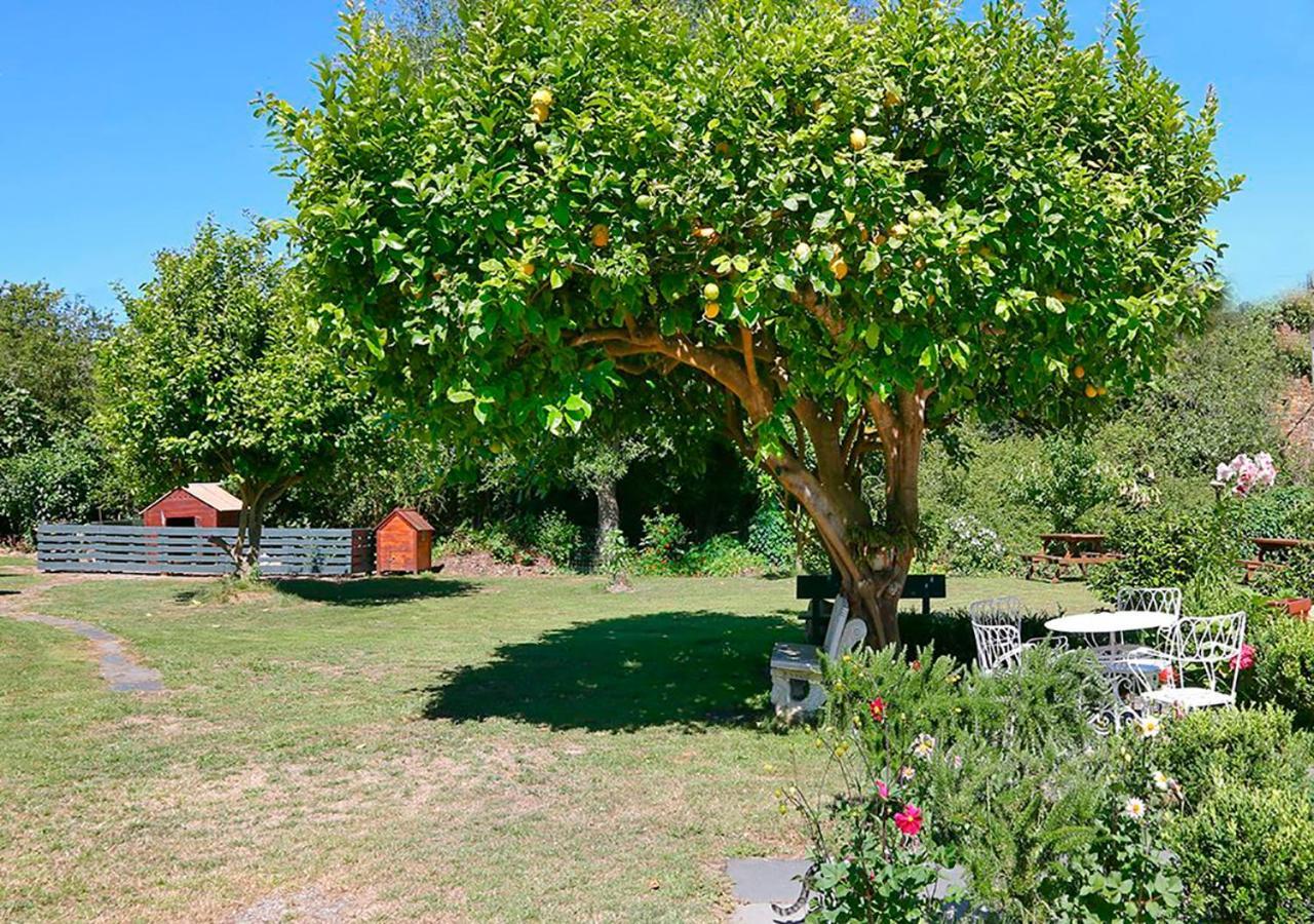 Pension Casa Elena Reinante Exterior foto